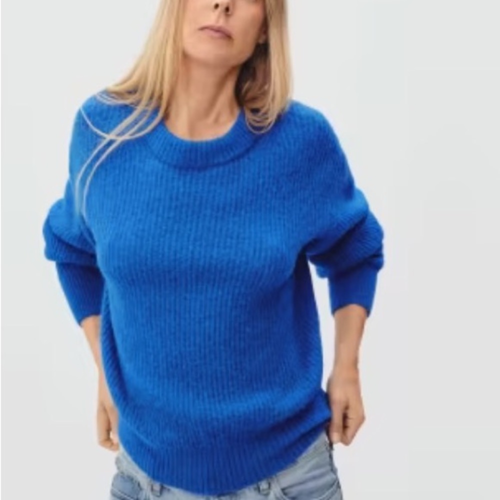Everlane Oversized Alpaca Crew
